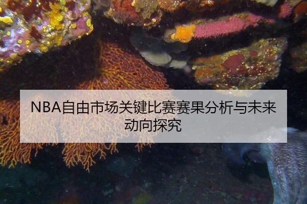 NBA自由市场关键比赛赛果分析与未来动向探究